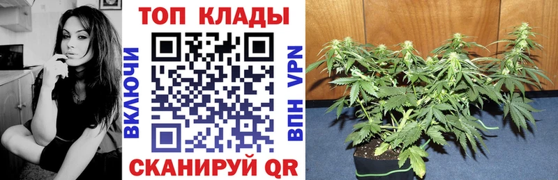 Купить наркотик Кондрово Бошки Шишки СОЛЬ КОКАИН ГАШИШ Меф мяу мяу