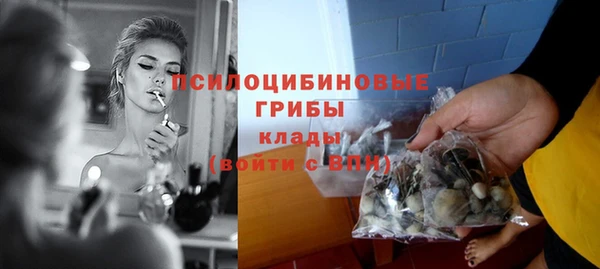 прущая мука Арсеньев